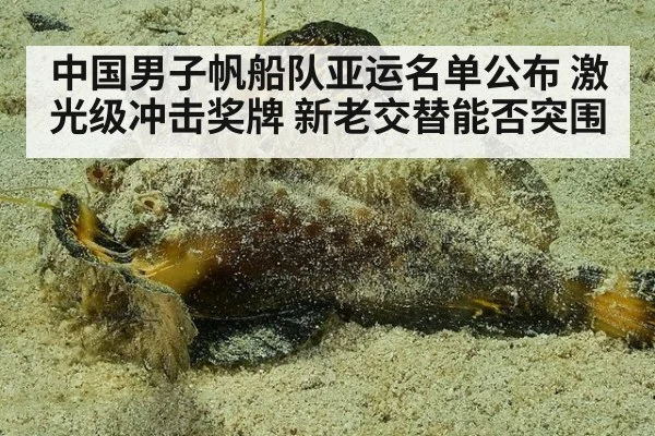 中国男子帆船队亚运名单公布 激光级冲击奖牌 新老交替能否突围
