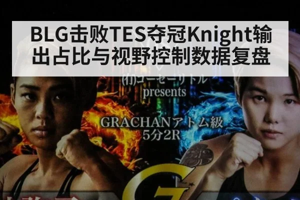 BLG击败TES夺冠Knight输出占比与视野控制数据复盘