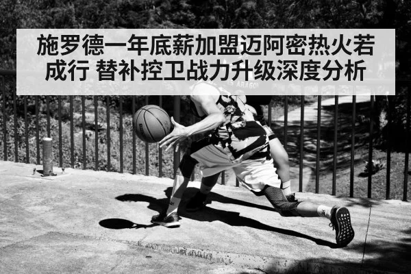 施罗德一年底薪加盟迈阿密热火若成行 替补控卫战力升级深度分析